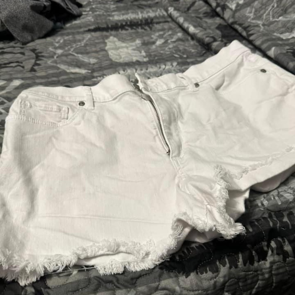 Loft Shorts